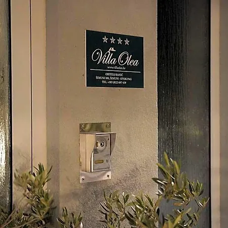 Olea פג